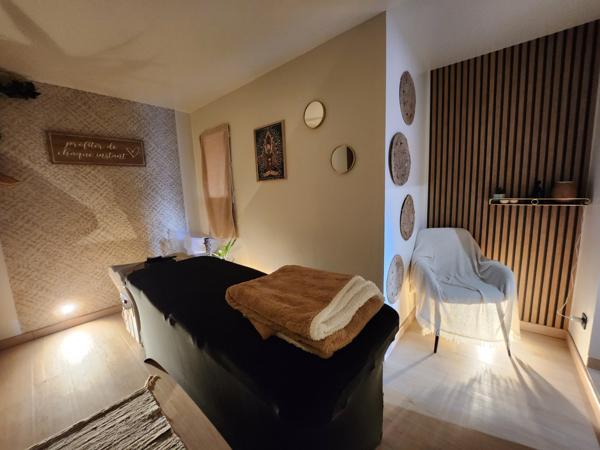 Sainte-Gemme-la-Plaine (85400) Maison rénovée en pierre avec grange et local indépendant