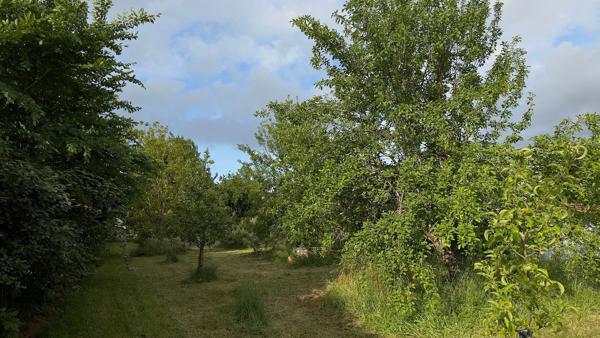 Vente Maison de luxe Lavaur 7 Pièces 216 m²