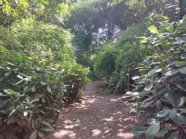 QUARTIER SAINT MICHEL. Appartement à vendre 4 pièces MONTAUBAN (82) avec dépendance aménageable et jardin cloturé.