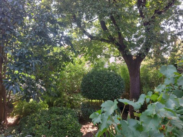 QUARTIER SAINT MICHEL. Appartement à vendre 4 pièces MONTAUBAN (82) avec dépendance aménageable et jardin cloturé.