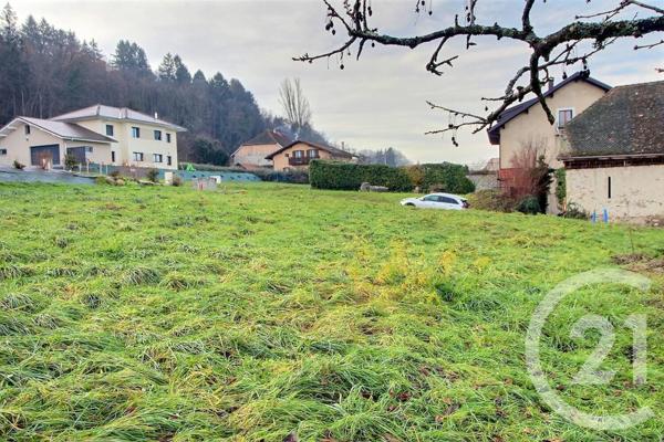 Terrain à vendre  971 m2 PUBLIER - 74
