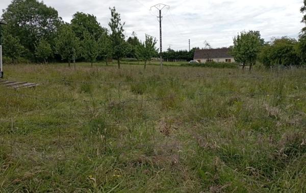 Vente Terrain Le tourneur   