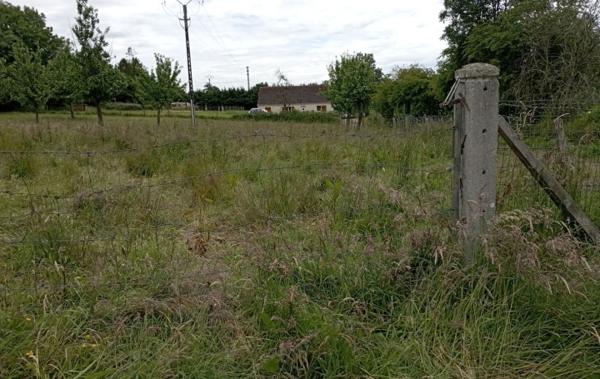 Vente Terrain Le tourneur   