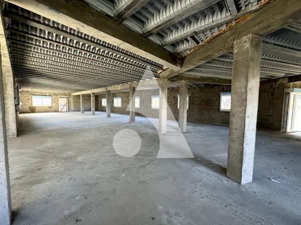 Immeuble 1163 m2