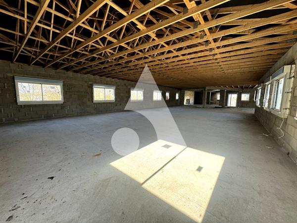 Immeuble 1163 m2