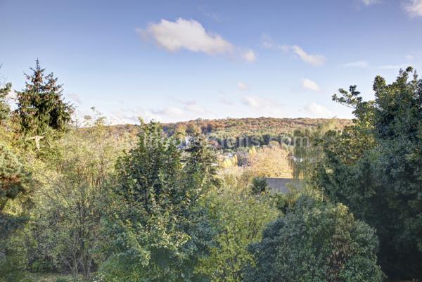 Appartement 5 pièces refait à neuf au calme avec balcon et vue