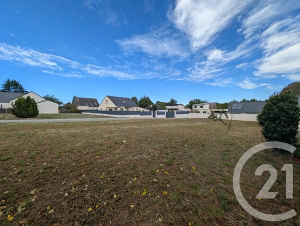 Terrain à vendre  475 m 2   MUZILLAC  - 56