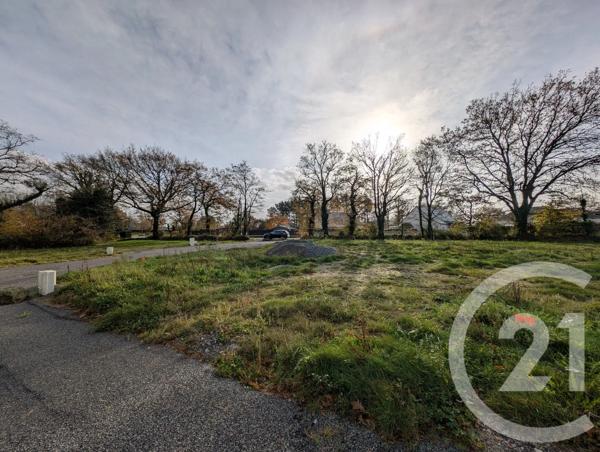 Terrain à vendre  475 m 2   MUZILLAC  - 56