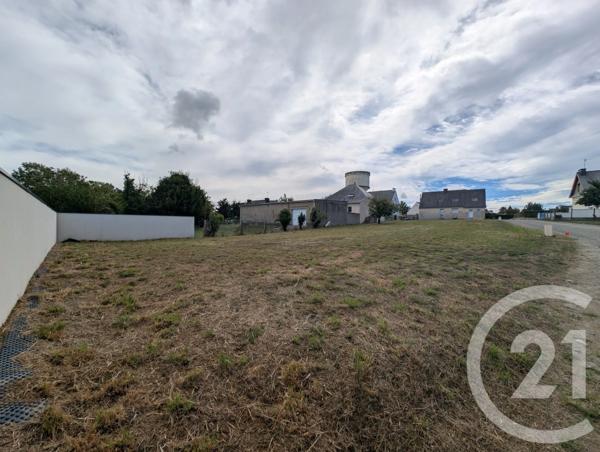 Terrain à vendre  475 m 2   MUZILLAC  - 56