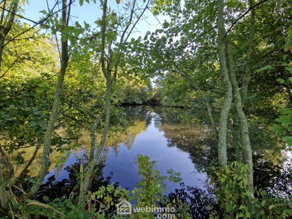 Terrain de loisirs 5368 m² à Nieul-le-Dolent 85430