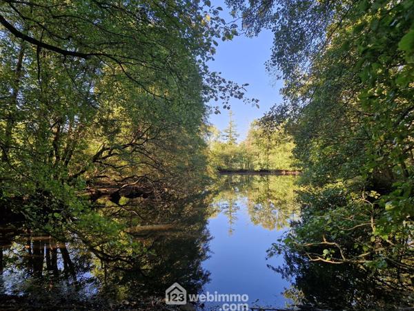 Terrain de loisirs 5368 m² à Nieul-le-Dolent 85430