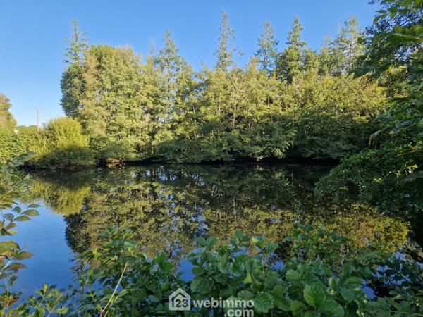 Terrain de loisirs 5368 m² à Nieul-le-Dolent 85430