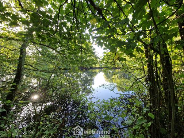 Terrain de loisirs 5368 m² à Nieul-le-Dolent 85430