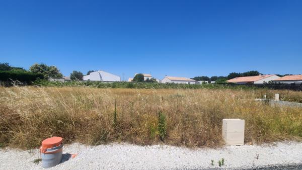 Terrain