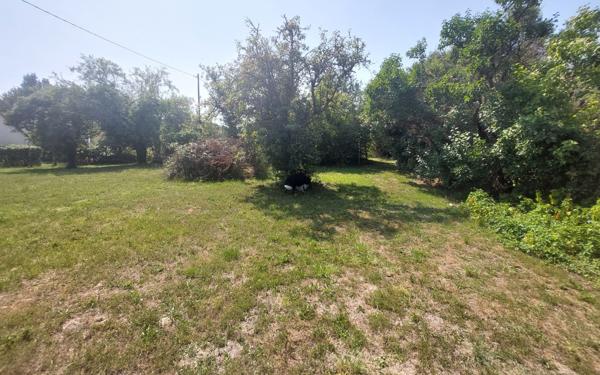 Maison à vendre    5 pièces •  Seigy