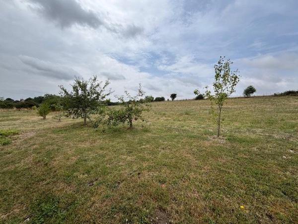 Veritable coup de coeur pour cette demeure de caractère