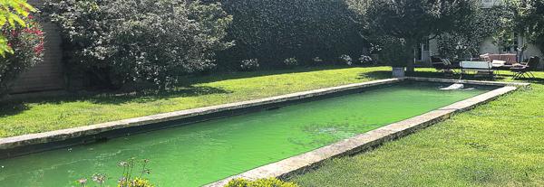 Montpellier (34000) Mas 2700 m2, parc 2HA, bassin 17/4, 15 chambres