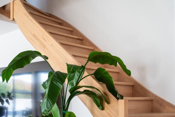 Vente Maison de luxe Châtelaillon-Plage 5 Pièces 168 m²