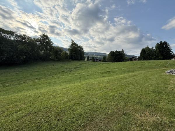 Megève (74120) GRAND 5 PIECES - PLAINE DU JAILLET