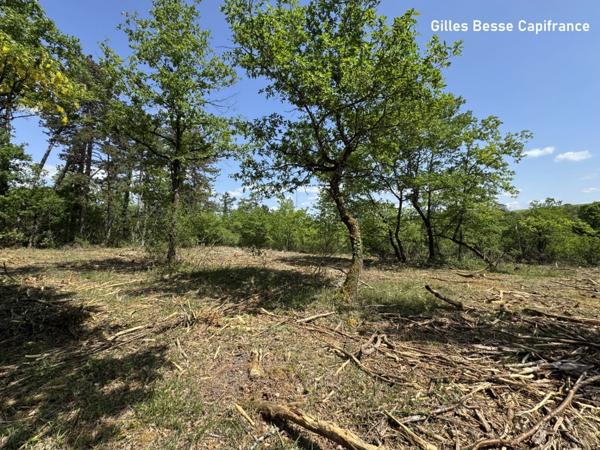 Terrain à vendre BASSILLAC ET AUBEROCHE (24)