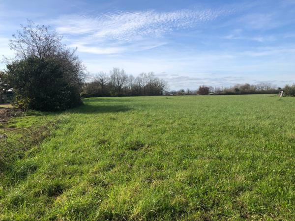 Terrain 10 045,00 m², dont 2564 m² constructibles sur SAINT PHILBERT DE GRAND LIEU (44)