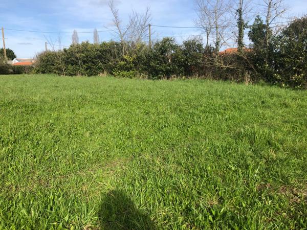 Terrain 10 045,00 m², dont 2564 m² constructibles sur SAINT PHILBERT DE GRAND LIEU (44)