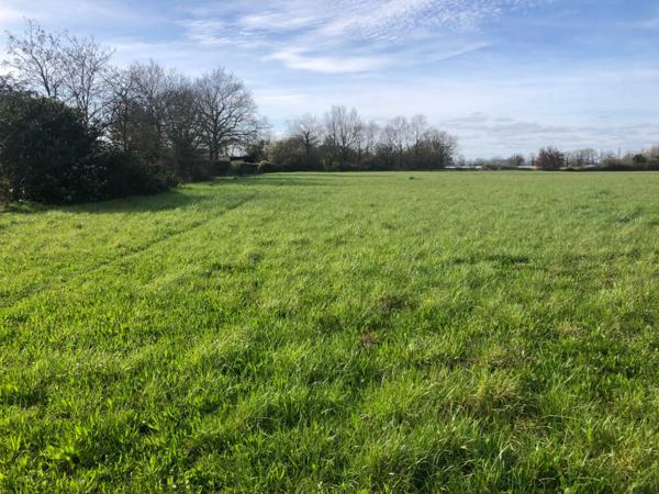 Terrain 10 045,00 m², dont 2564 m² constructibles sur SAINT PHILBERT DE GRAND LIEU (44)