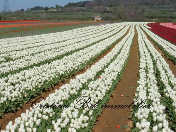 Lotissement de 408 m²