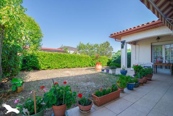 Maison 427 384 € Blagnac 4 p 109 m² DPE D