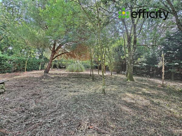 Maison 2 pièces - 75 m²