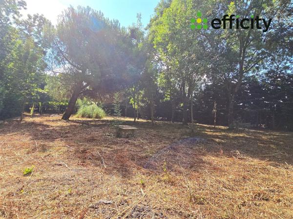 Maison 2 pièces - 75 m²