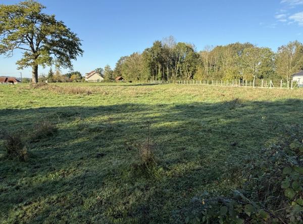 Terrain constructible de 2500m² 25 000 €