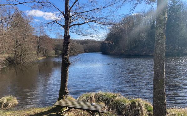 Terrain à vendre    Compreignac