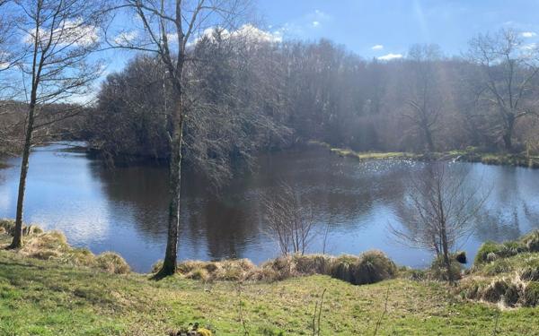 Terrain à vendre    Compreignac