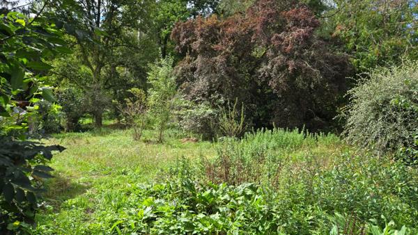 GRANGE A RENOVER + JARDIN + BOIS - CALME ET AUTHENTICITE