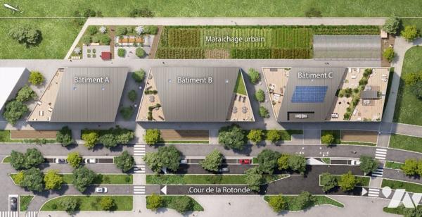 Programme Neuf ANCORA Type 3