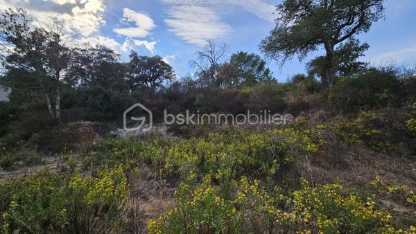 Votre conseillère Fabienne RIGAUD – BSK Immobilier – vous invite à découvrir ce terrain constructible de 1 400 m², situé dans un environnement calme et résidentiel, sur les hauteurs de Vidauban.

Vous apprécierez son cadre paisible et verdoyant, idéal pour imaginer votre futur projet de construction et profiter d’une belle qualité de vie au cœur du Var.

Un beau potentiel de construction – Zone UCa

Située dans un secteur pavillonnaire, cette parcelle offre de belles possibilités pour concrétiser votre projet immobilier, sous réserve du respect des règles d’urbanisme en vigueur.
Zone du PLU : UCa
Emprise au sol autorisée : 20 %, soit jusqu’à environ 276 m² d’emprise au sol (idéal pour une grande villa de plain-pied ou avec étage, garage, etc.)
Hauteur maximale : jusqu’à 7 mètres.
Espaces libres : au minimum 60 % de la superficie du terrain à préserver en espaces libres et végétalisés.
Implantation : recul minimal de 4 mètres par rapport à la voie et aux limites séparatives, selon les dispositions du PLU.

Les atouts du terrain :

Belle superficie de 1 400 m².
Environnement calme et résidentiel.
Situation sur les hauteurs de Vidauban.
Terrain situé en zone constructible UCa.
Secteur à étudier pour un projet d’assainissement individuel, selon les caractéristiques du terrain et les prescriptions applicables.

Une belle opportunité pour réaliser votre projet de maison dans un cadre agréable, tout en restant à proximité des commodités et des principaux axes de circulation du Var.

Pour tout renseignement complémentaire ou pour organiser une visite sur place, contactez-moi au 06 60 81 38 06 ou par email à f.rigaud@bskimmobilier.com.