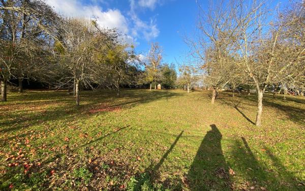 Maison à vendre    7 pièces •  Alençon