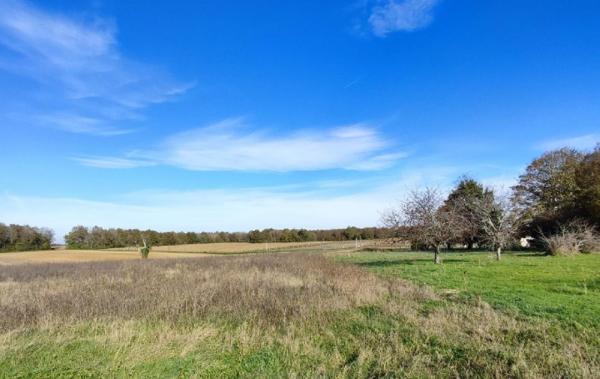 Vente Terrain Ecoyeux   