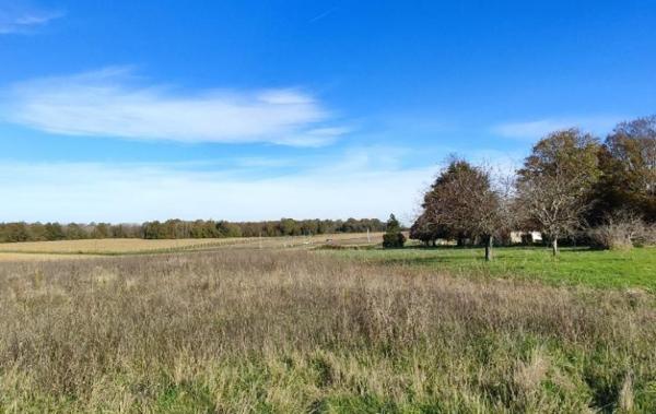 Vente Terrain Ecoyeux   