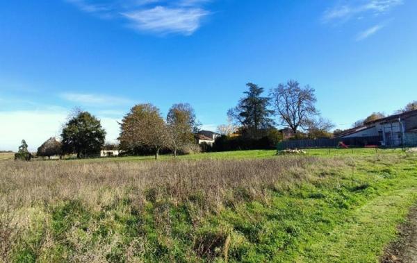 Vente Terrain Ecoyeux   