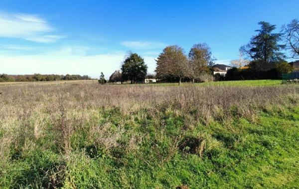 Vente Terrain Ecoyeux   