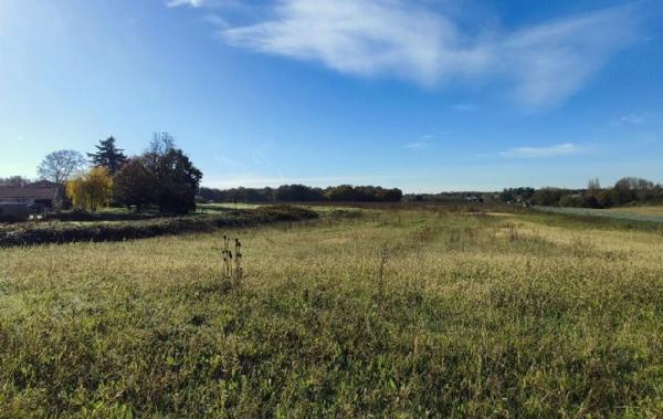 Vente Terrain Ecoyeux   
