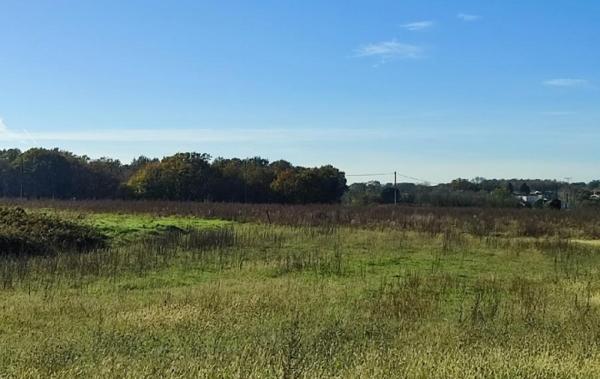 Vente Terrain Ecoyeux   