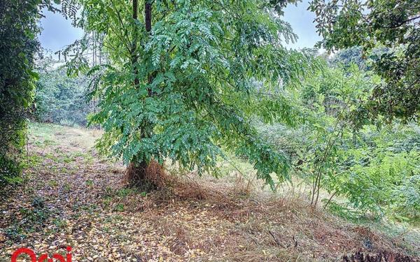 Maison à vendre    4 pièces •  Doyet