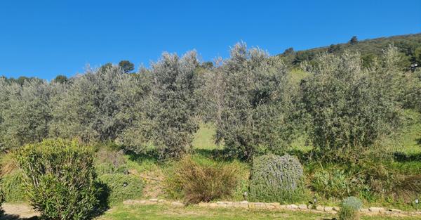 A vendre - Propriété agricole - En Haute Provence