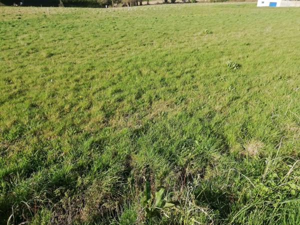 Terrain Kergrist 1929 m2 Kergrist (56300)