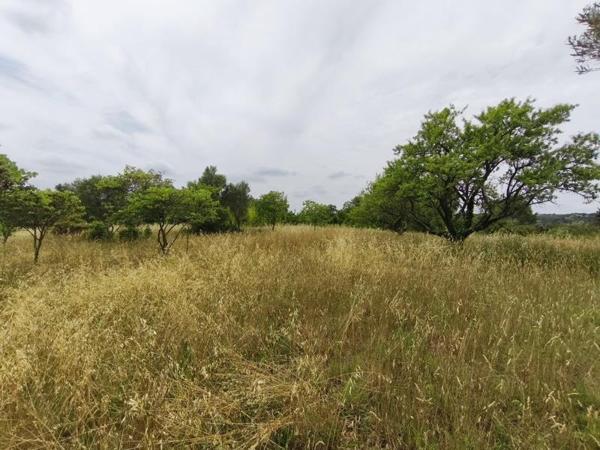 Terrain à vendre 196 500 € Saint-Georges-d'Orques 3690 m² DPE