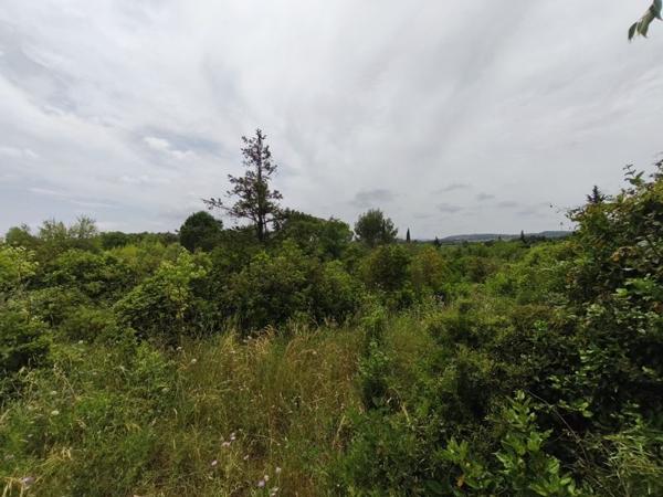 Terrain à vendre 196 500 € Saint-Georges-d'Orques 3690 m² DPE