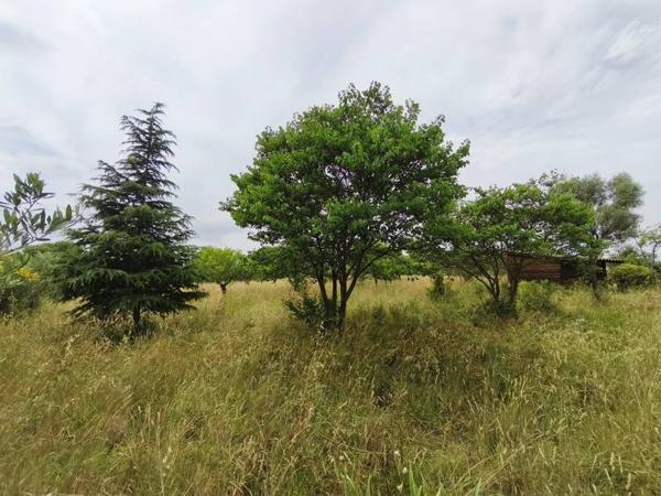Terrain à vendre 196 500 € Saint-Georges-d'Orques 3690 m² DPE